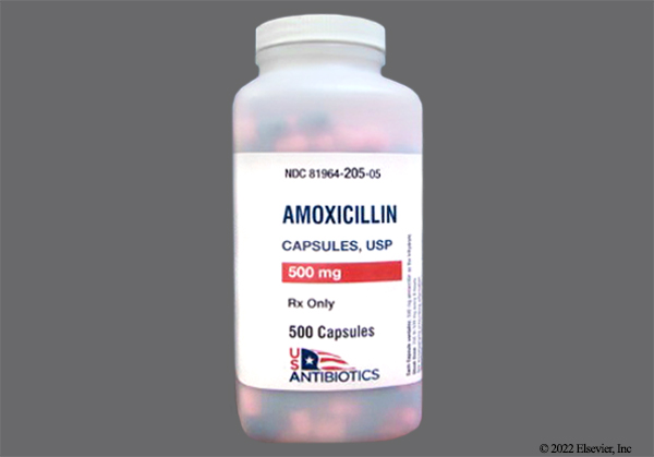 Amoxicillin 500 mg Capsule Bottle 500 Capsules (500/BT) USAntibiotics by USAntibiotics, LLC  ID 81964-0205-05